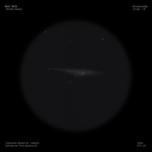 sketch Caldwell 32 NGC 4631 whale galaxy