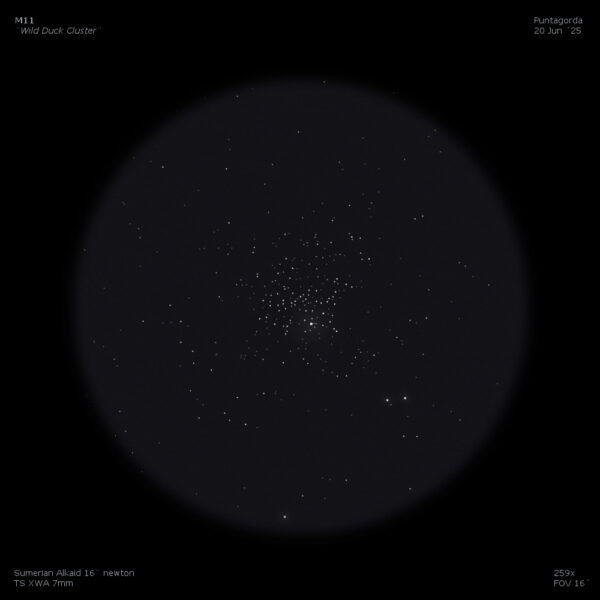 sketch M11 messier 11 wild duck cluster