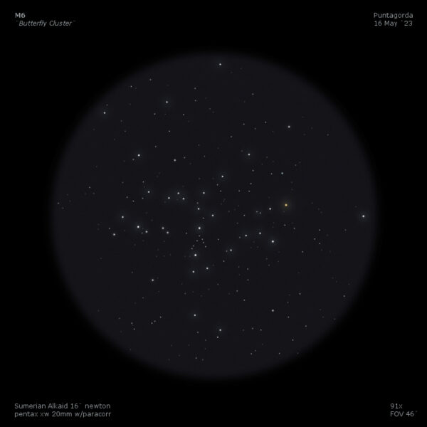 sketch M6 butterfly cluster