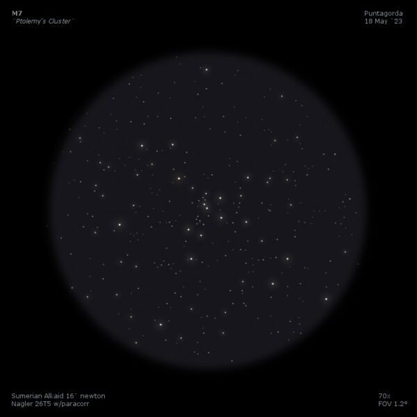 sketch m7 ptolemy's cluster