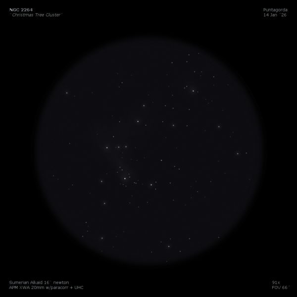 sketch ngc 2264 christmas tree cluster