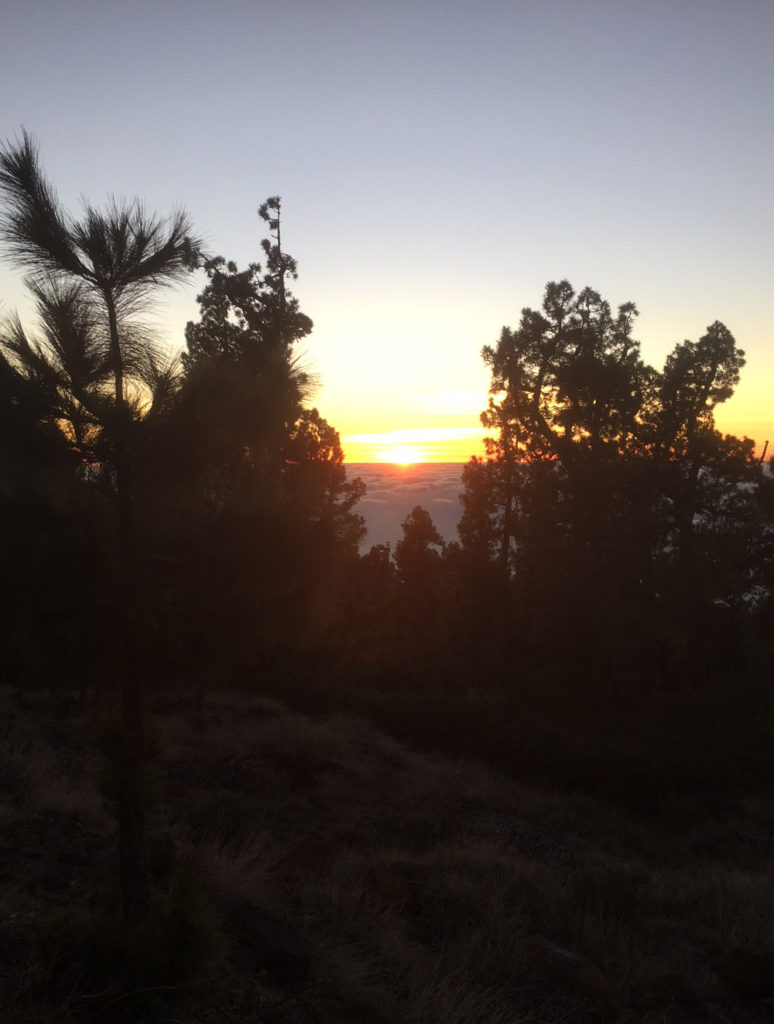 sunset Roque de los Muchachos before messier marathon