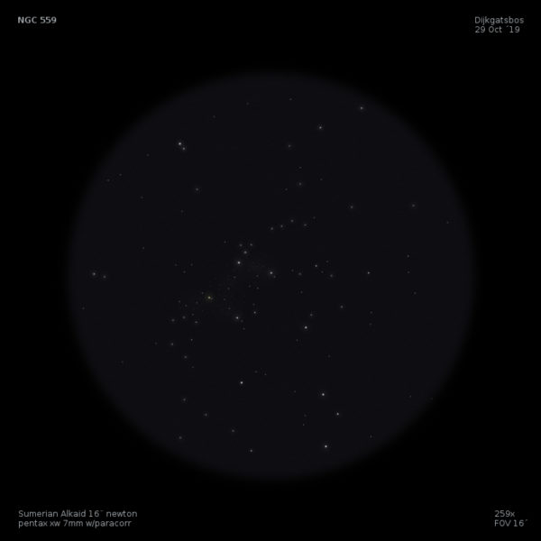 sketch Caldwell 8 NGC 559