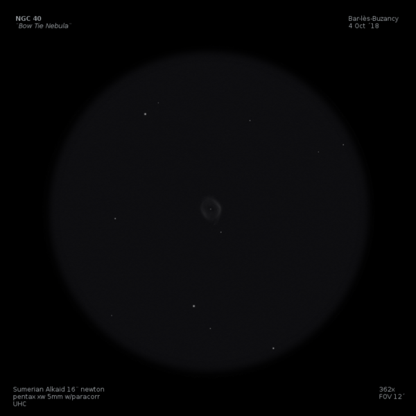 sketch ngc 40 bowtie